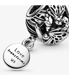 Pandora compatibele zilveren waterjuffer bedel met inscriptie 'Love transforms us', sieradenaccessoire