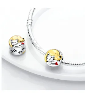 Goud- en zilverkleurige huisdierenbedel met kat en hond, geschikt voor Pandora armbanden.